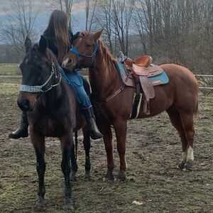 Meet your Posher, Addison